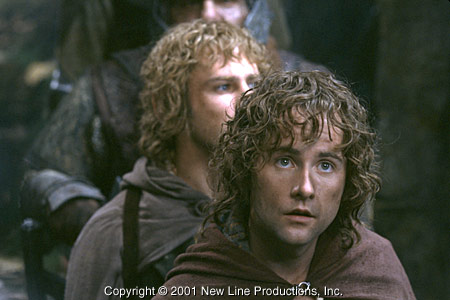 fellowship2.jpg
